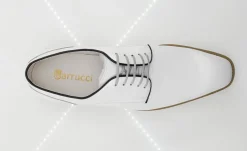 Burnished Calfskin Lace-Up Shoe White