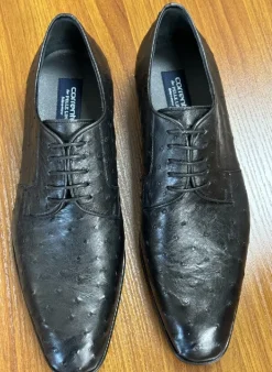 Corrente Genuine Ostrich Lace-up Shoe Black