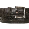 Hornback Belt Brown