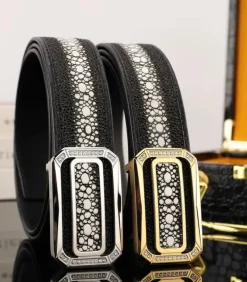 Stingray Belt Black